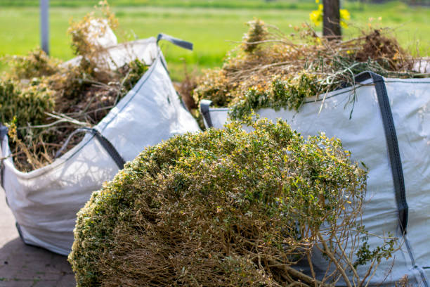 Best Construction Debris Removal  in Benjamin, UT